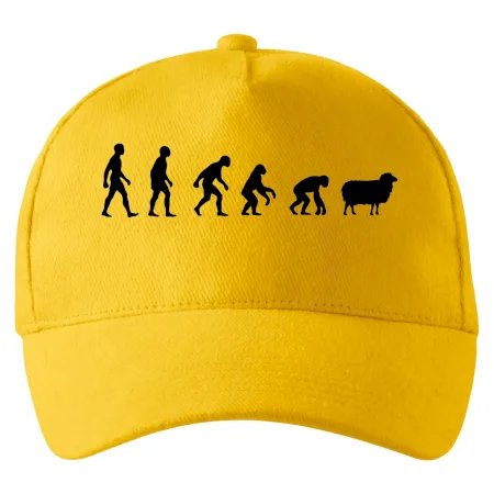 Evoluce ovce
