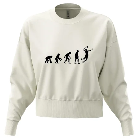 Evoluce volejbal smeč