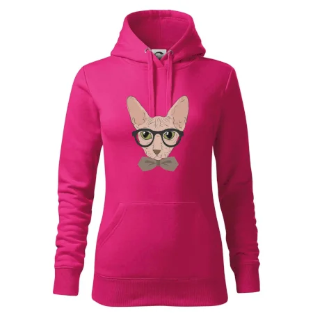 Hipster sphynx