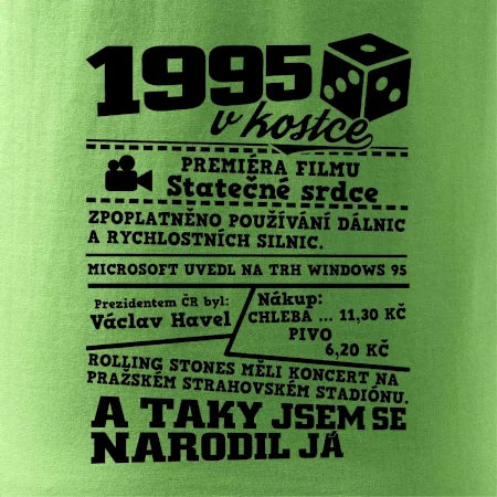1995 v kostce