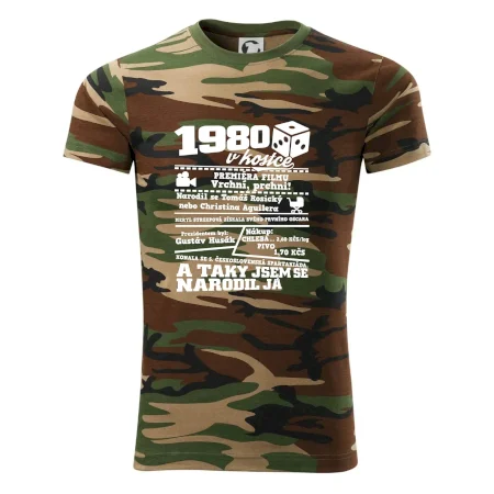 1980 v kostce