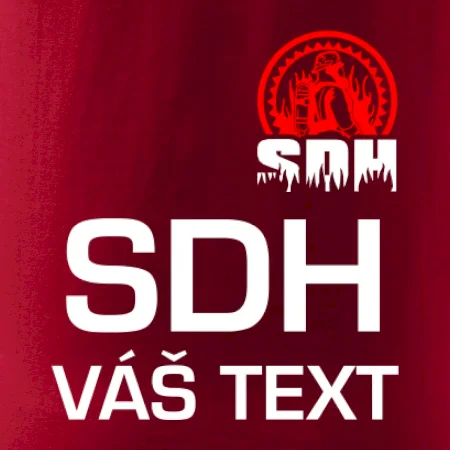 SDH logo