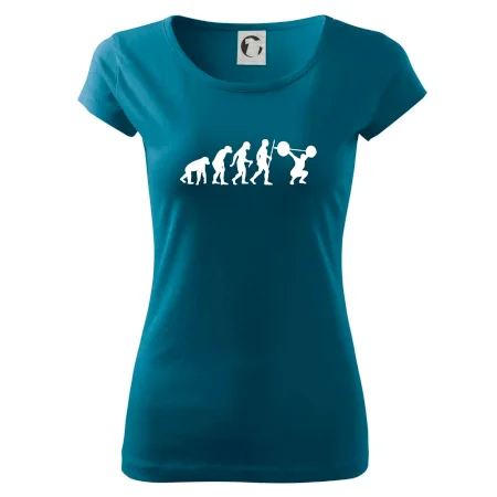 Evolution fitness