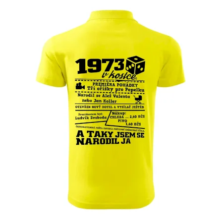 1973 v kostce