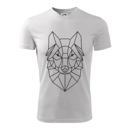 Geometrie - vlk