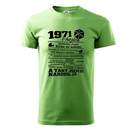 1971 v kostce