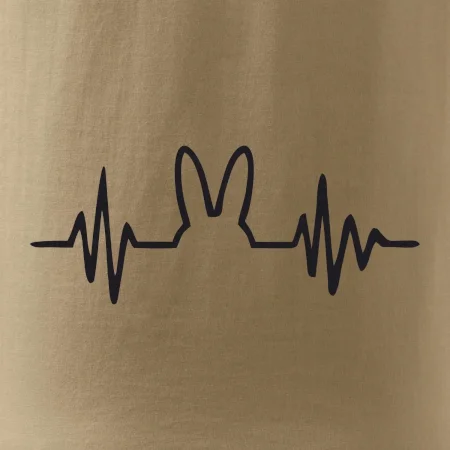 EKG zajíc