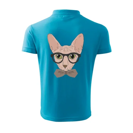 Hipster sphynx
