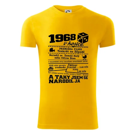 1968 v kostce