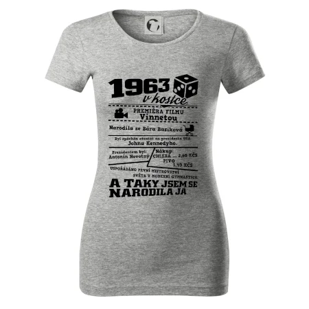 1963 v kostce