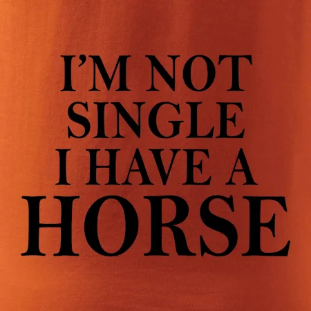 I have a horse - Nepotřebuji přítele
