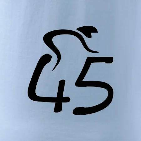 Cyklista slaví pětačtyřicítku (45)