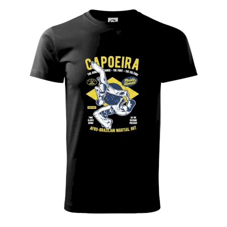 Capoeira  Afro-brazil art