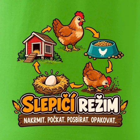 Slepičí režim od krmení po sběr vajec