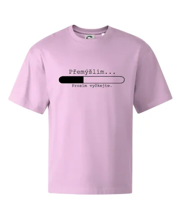Přemýšlím