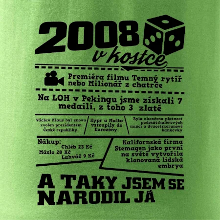 2008 v kostce