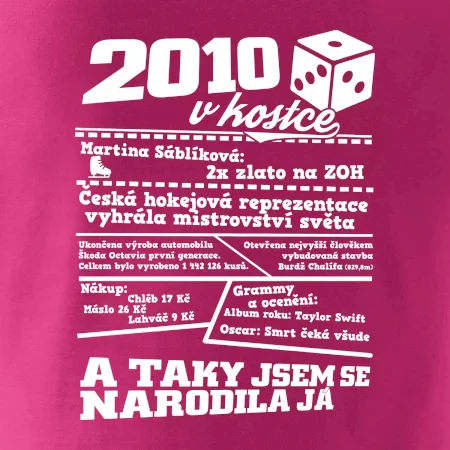 2010 v kostce