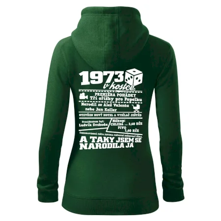 1973 v kostce