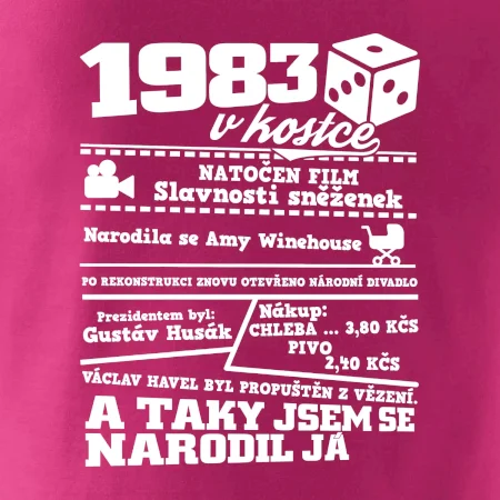 1983 v kostce