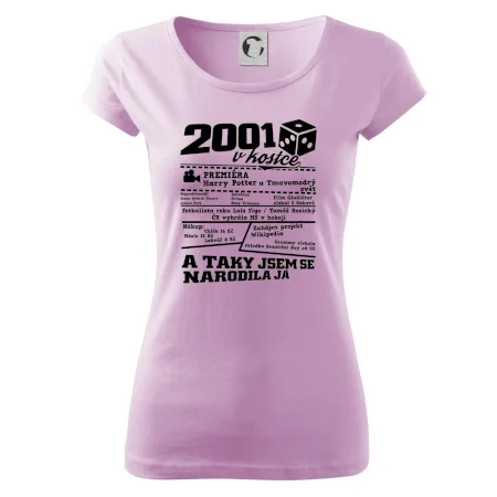 2001 v kostce