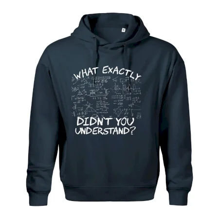 What exactly didnt you understand - physics