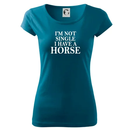 I have a horse - Nepotřebuji přítele