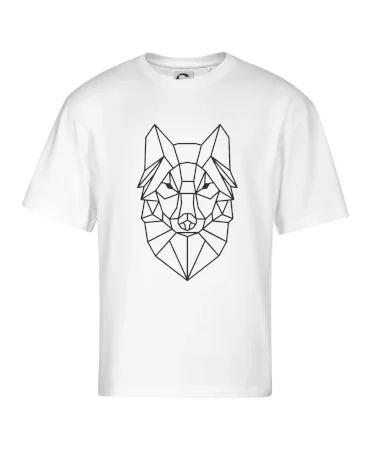 Geometrie - vlk