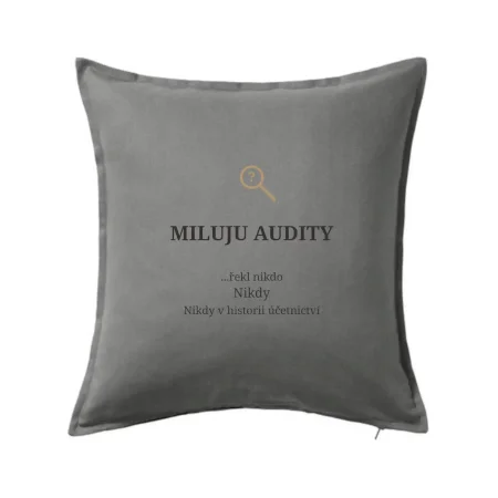 Miluju audity řekl nikdo nikdy