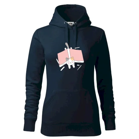 Učení na státnice kočka