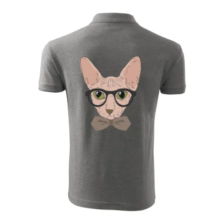 Hipster sphynx