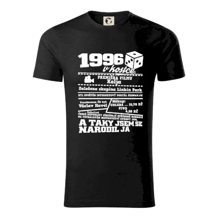 1996 v kostce