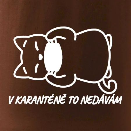 V karanténě to nedávám