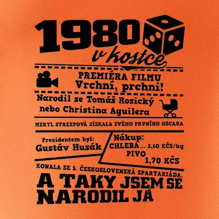 1980 v kostce