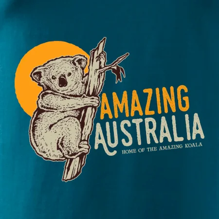 Amazing Australia koala