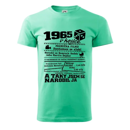 1965 v kostce