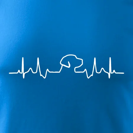 Labrador EKG