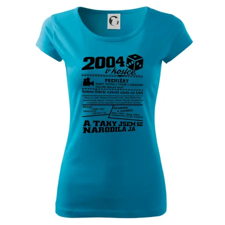 2004 v kostce