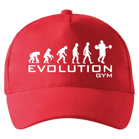 Evoluce Gym