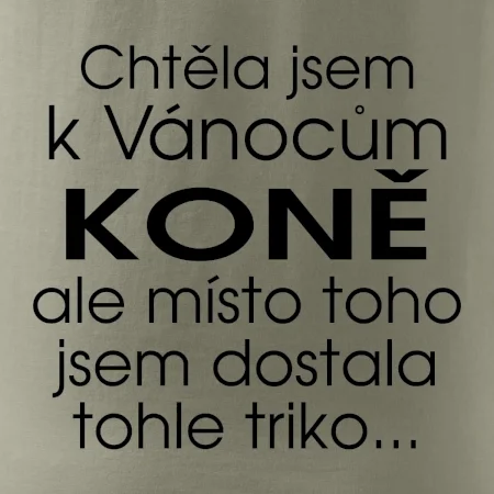 Chtěla jsem k Vánocům koně