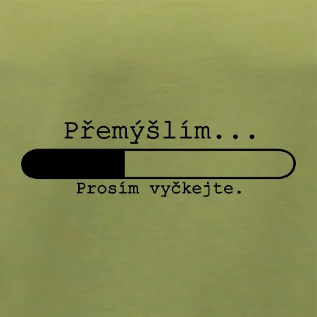 Přemýšlím