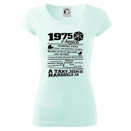 1975 v kostce