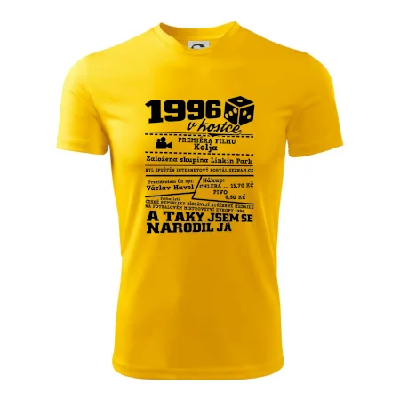 1996 v kostce