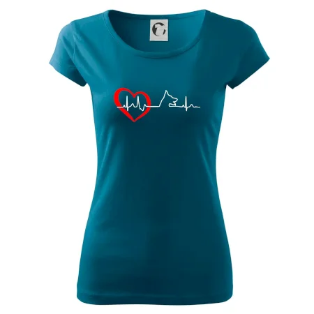 Německý ovčák ekg