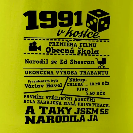 1991 v kostce