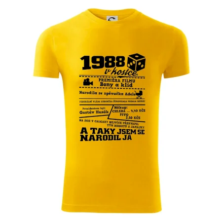 1988 v kostce