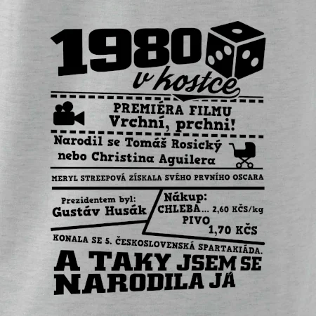 1980 v kostce