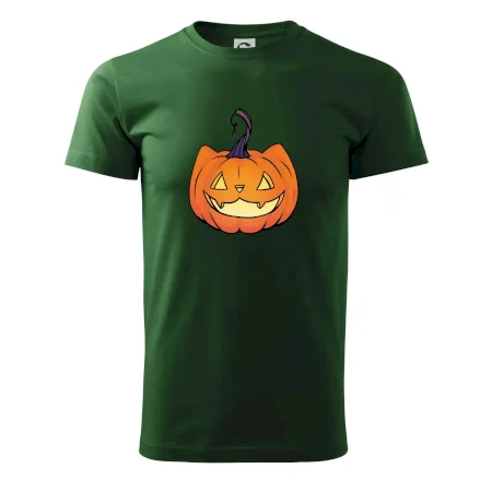 Kočičí dýně