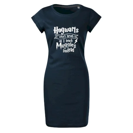 Harry - Hogwarts wasn’t hiring, so I teach Muggles instead