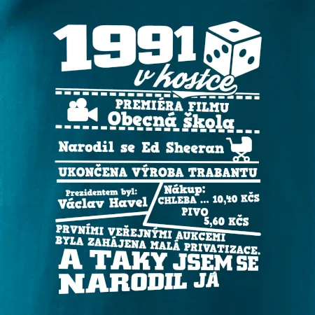 1991 v kostce