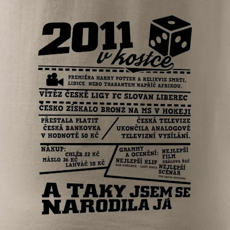 2011 v kostce